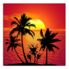 Obraz na plátne Západ slunce a palmy