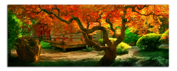Obraz na plátne Japonská zahrada