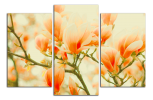 Obraz na plátne Oranžové magnolie
